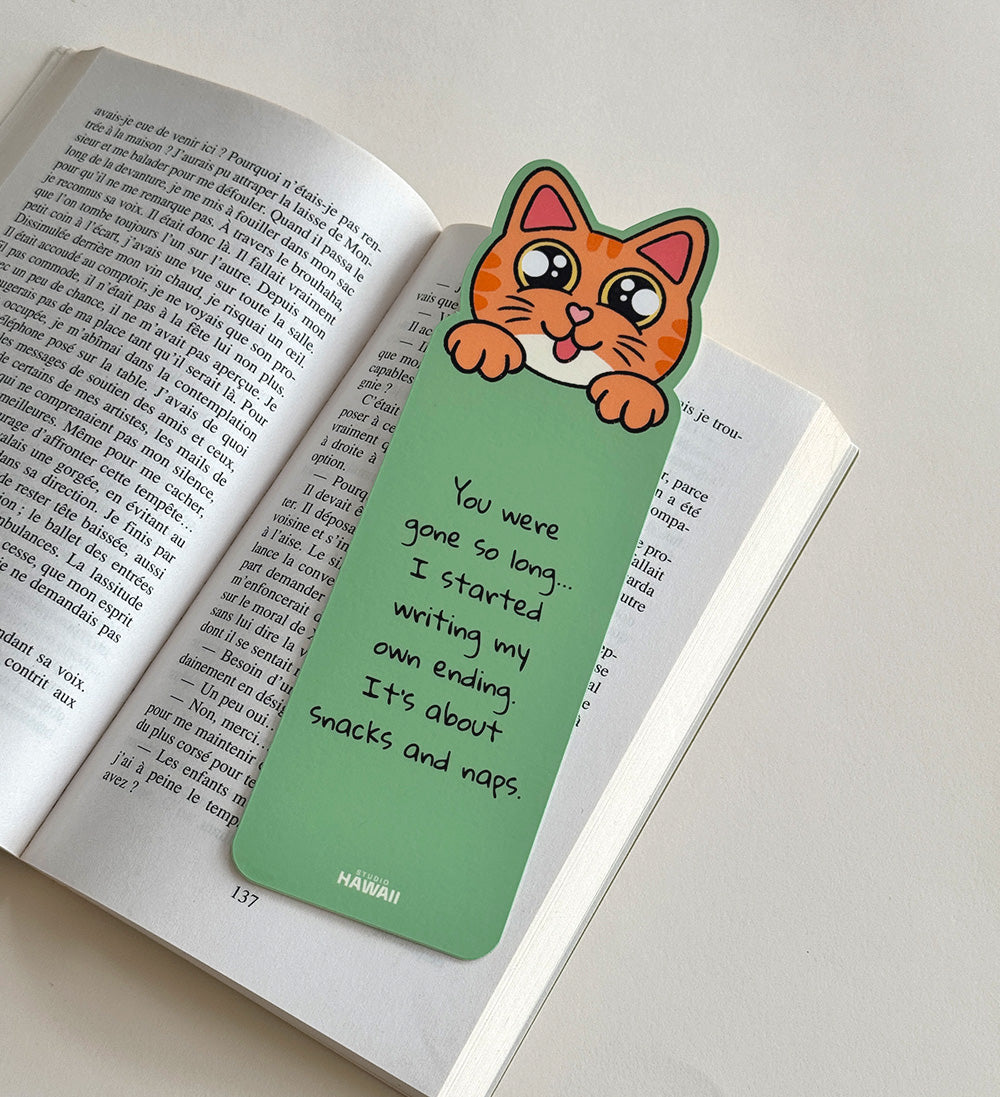 Marque-page chat roux